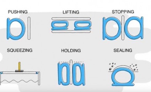 Placeholder for Seal Master