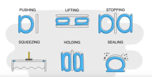 Placeholder for Seal Master