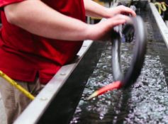 Placeholder for Seal Master