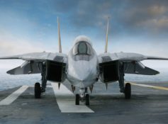 Placeholder for Seal Master