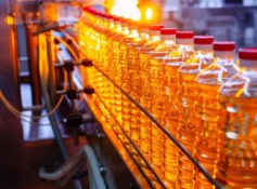 Placeholder for Seal Master