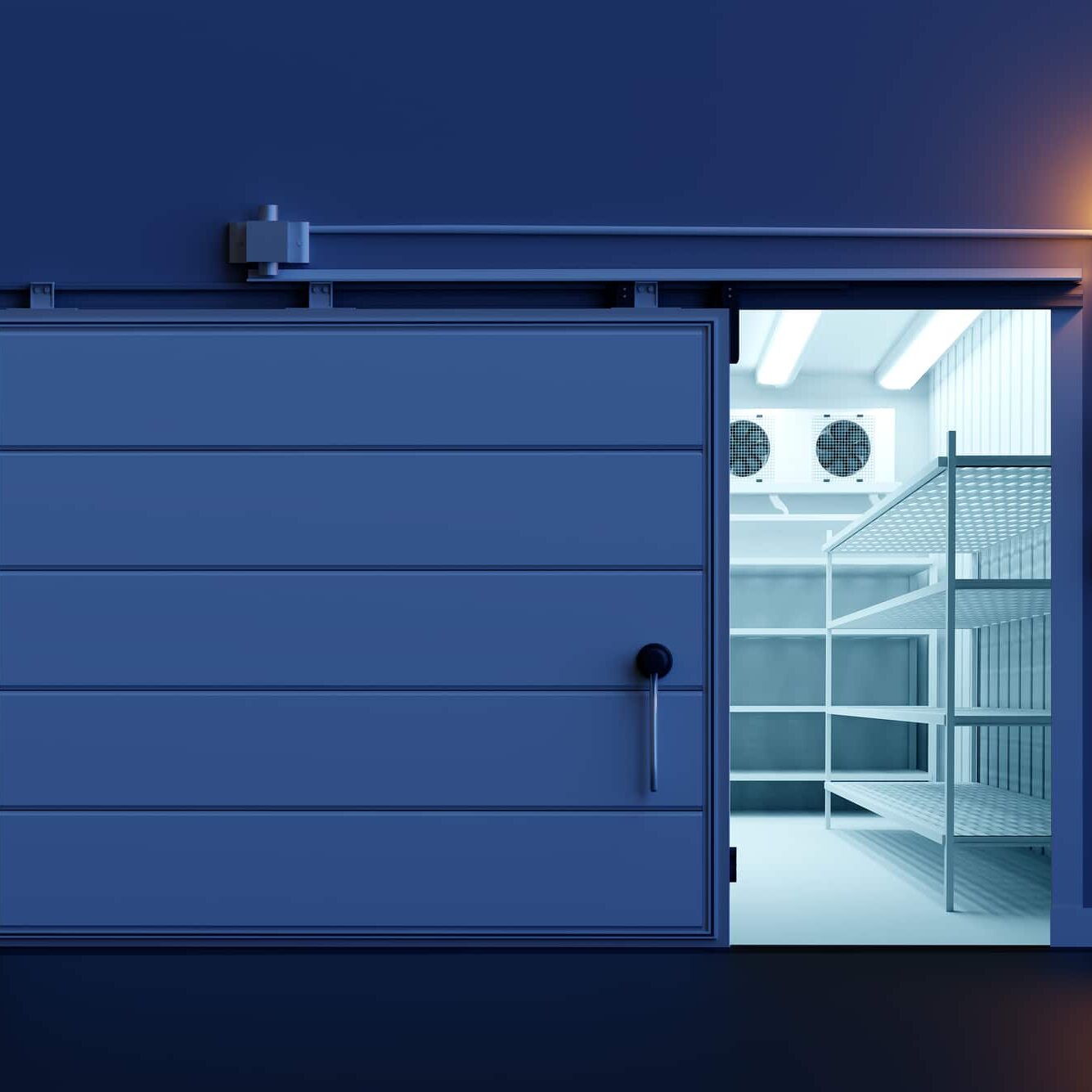 Chamber Door Seals