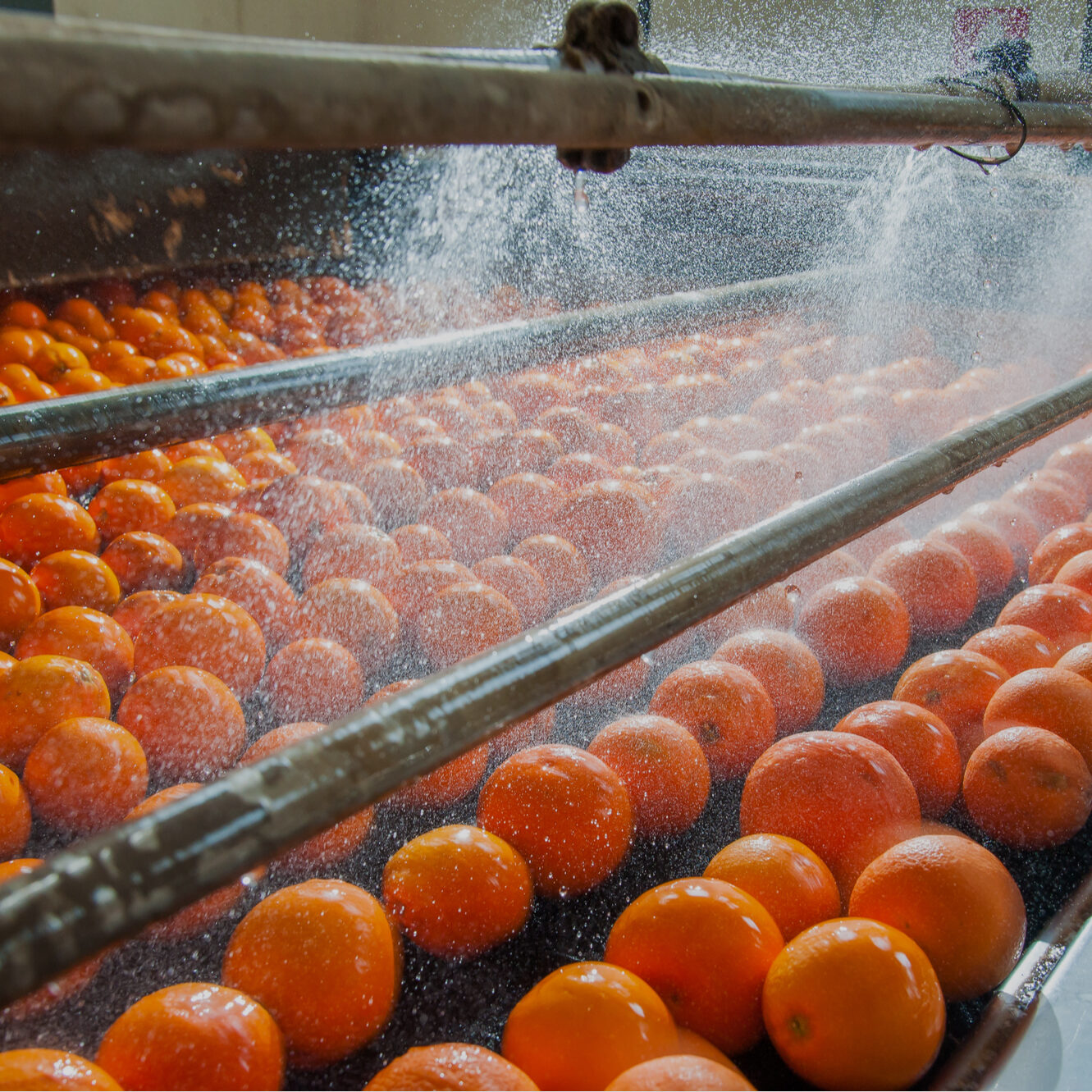 Produce being washed